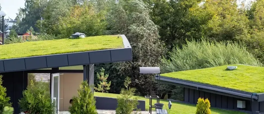 Two modern buildings with green roofs Two modern buildings with green roofs